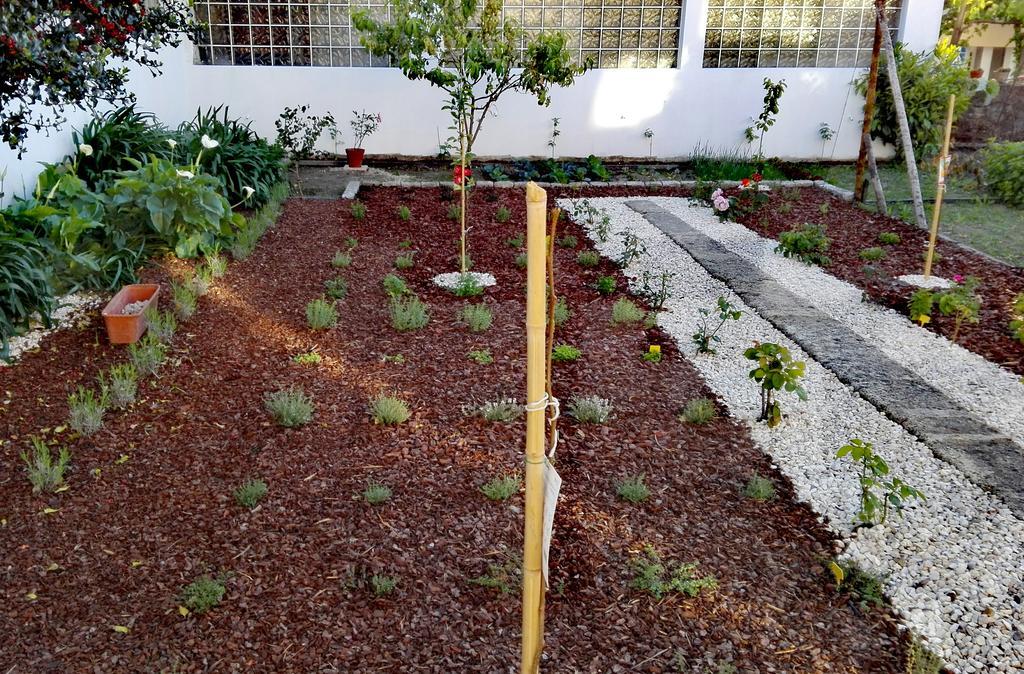 Era Uma Vez Apartment Vila Real Eksteriør billede